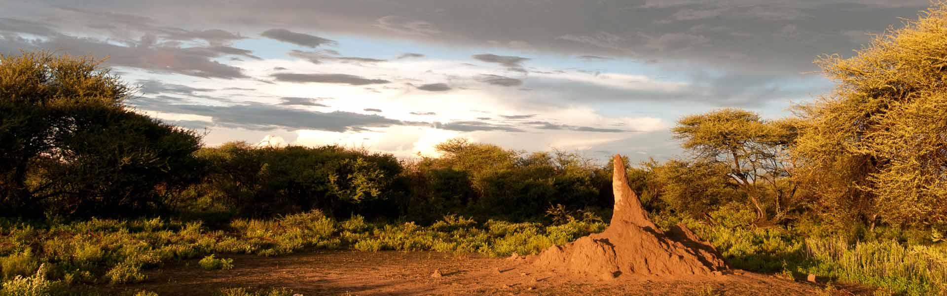 Africa Collection Holiday