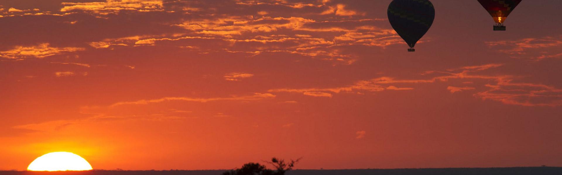 Africa Collection Holiday