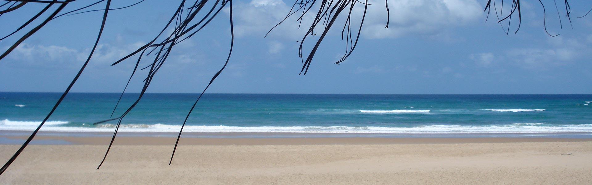 Africa Collection Holiday