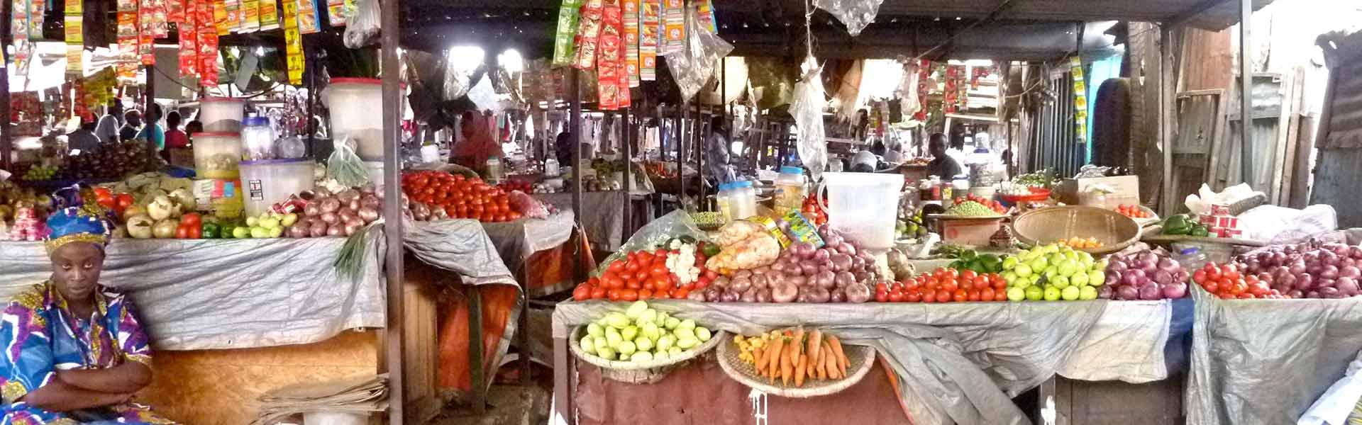 Africa Collection Holiday