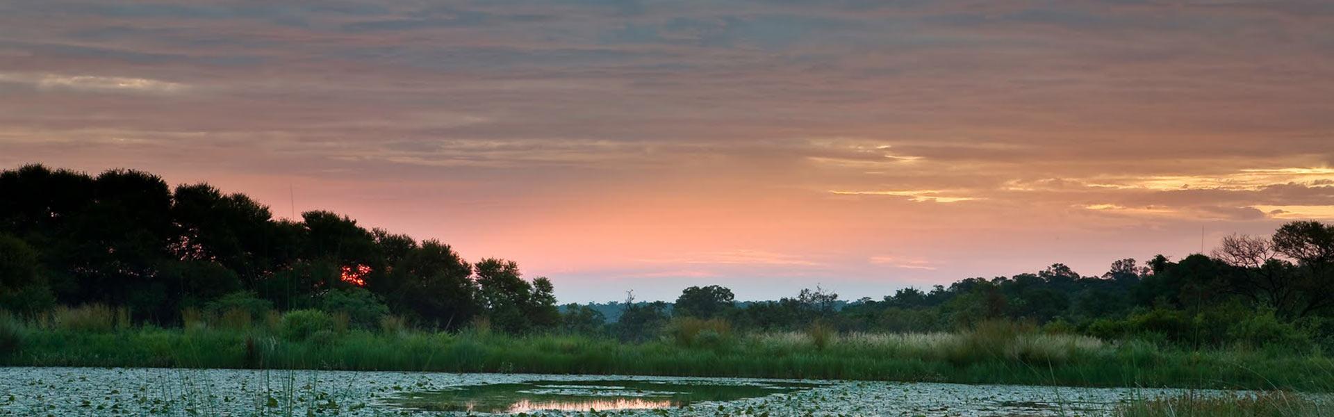 Africa Collection Holiday