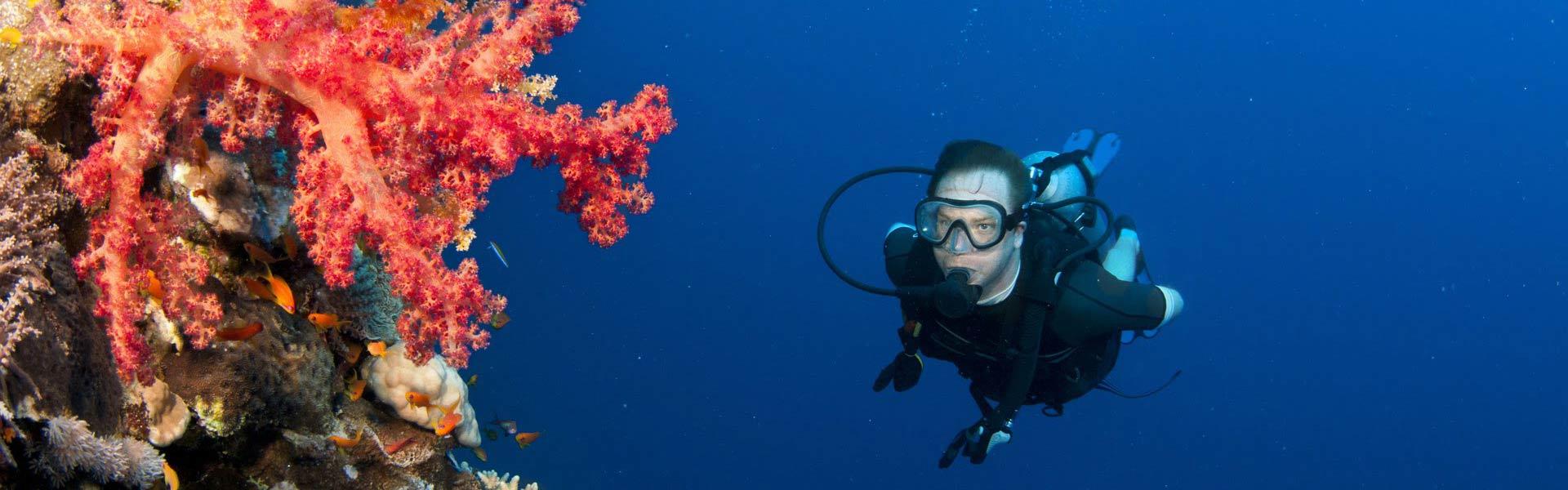 Africa Collection Holiday