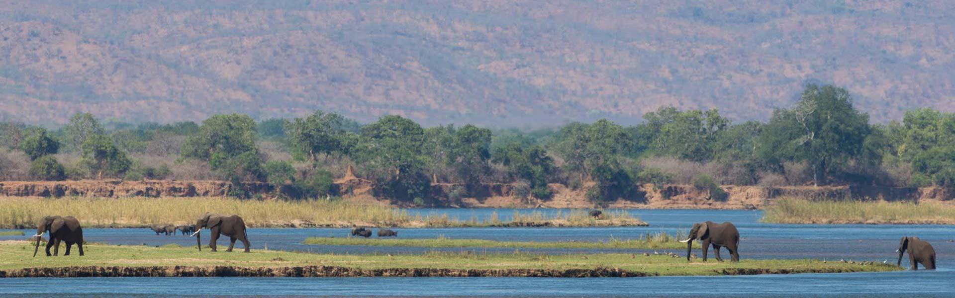 Africa Collection Holiday