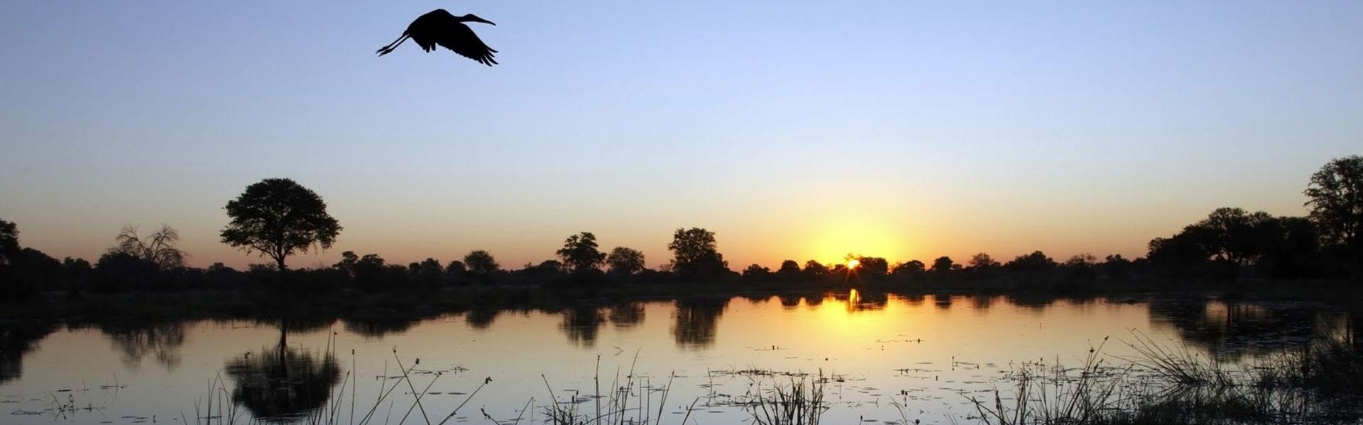 Africa Collection Holiday