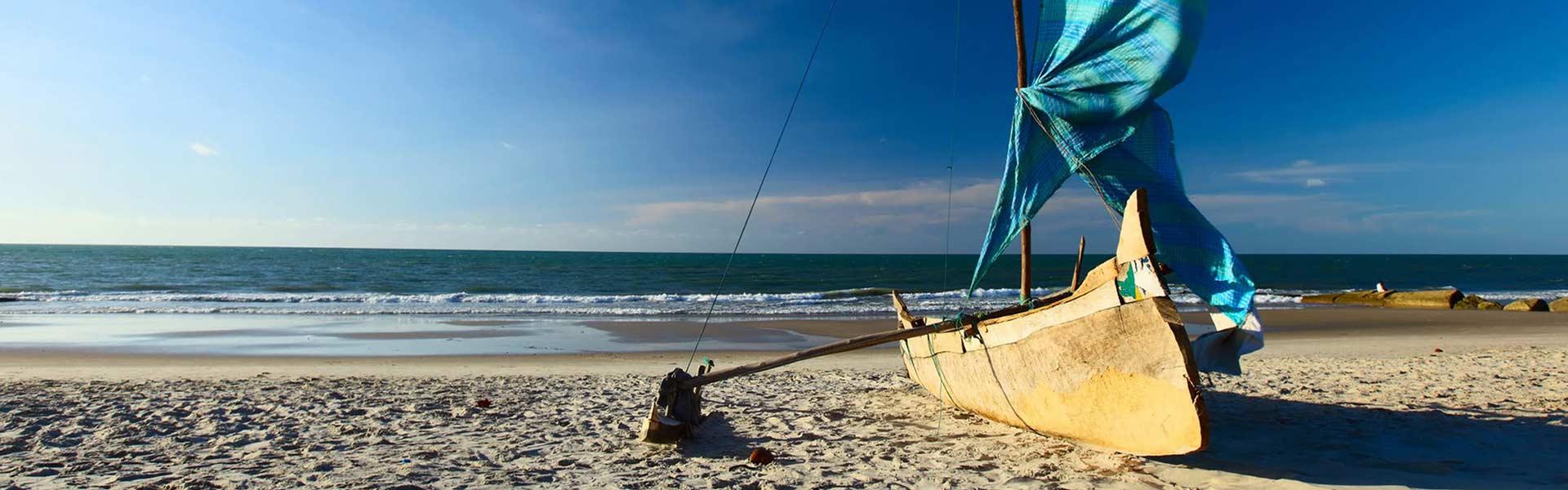 Africa Collection Holiday