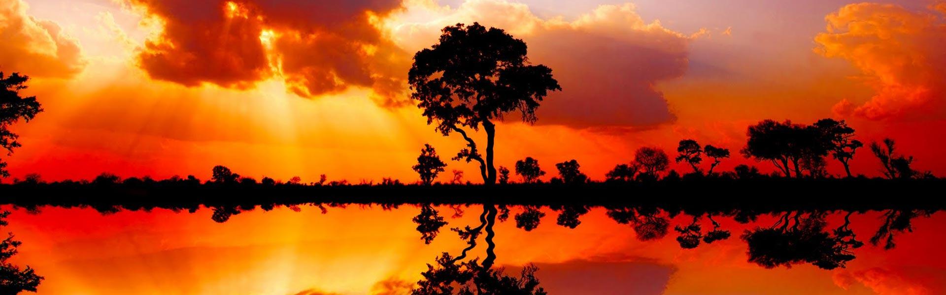 Africa Collection Holiday