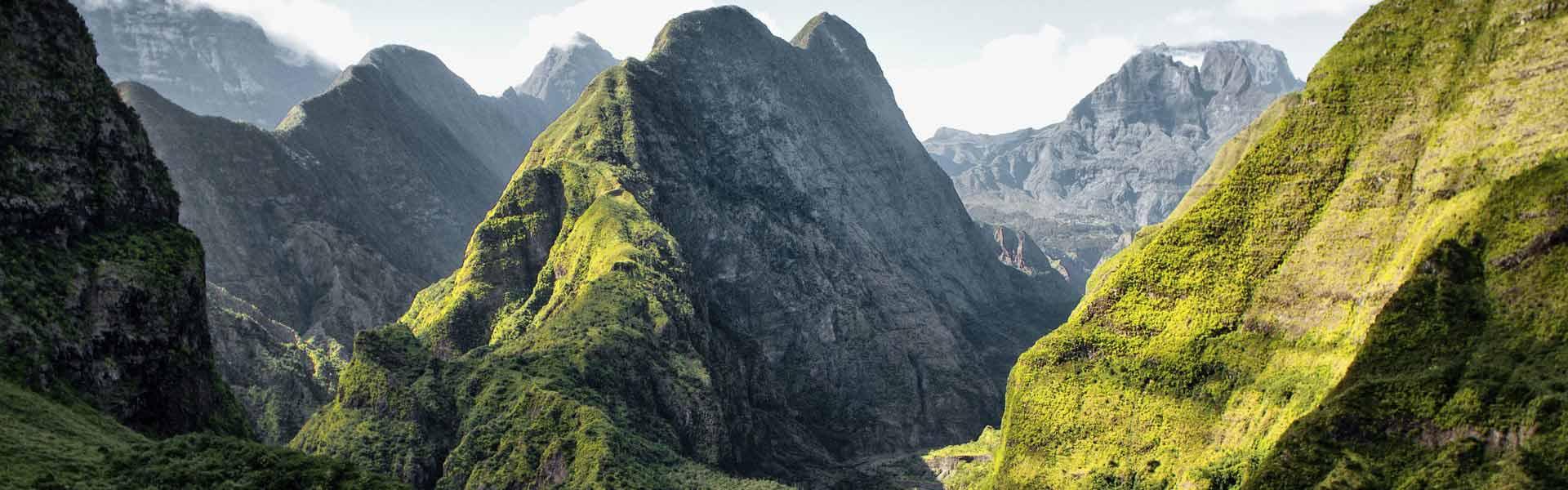 Africa Collection Holiday