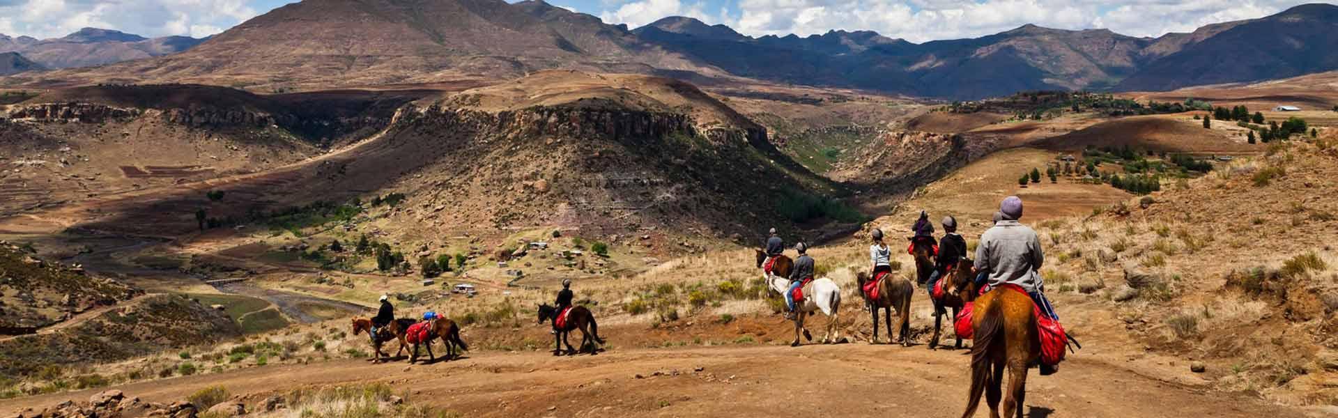 Africa Collection Holiday