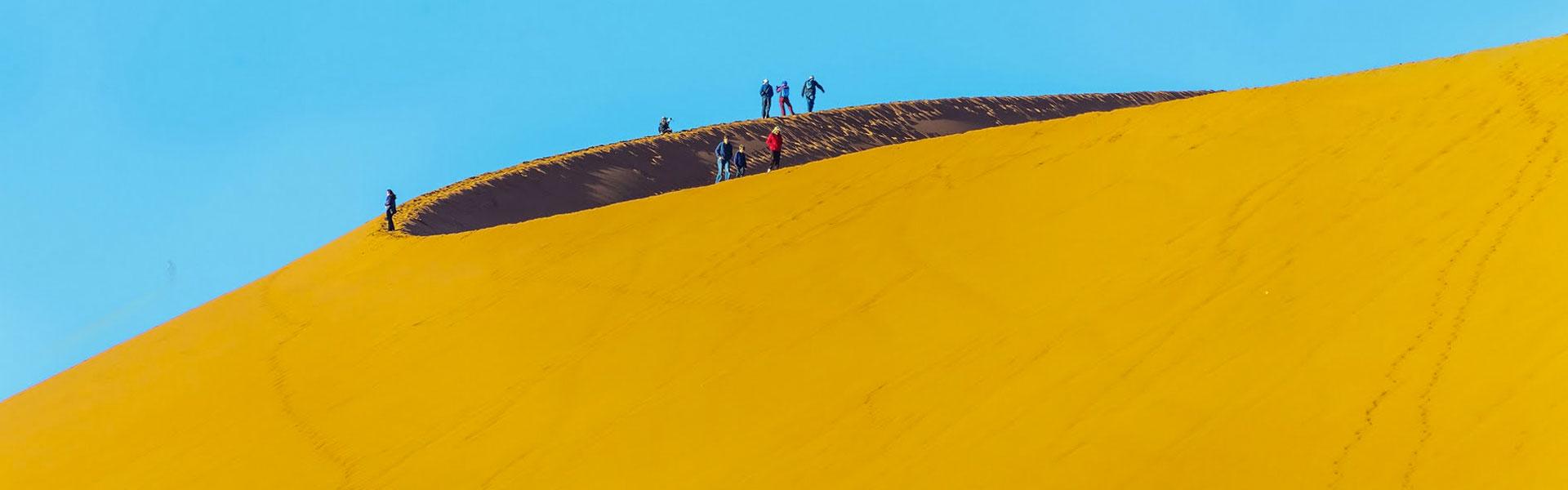 Africa Collection Holiday