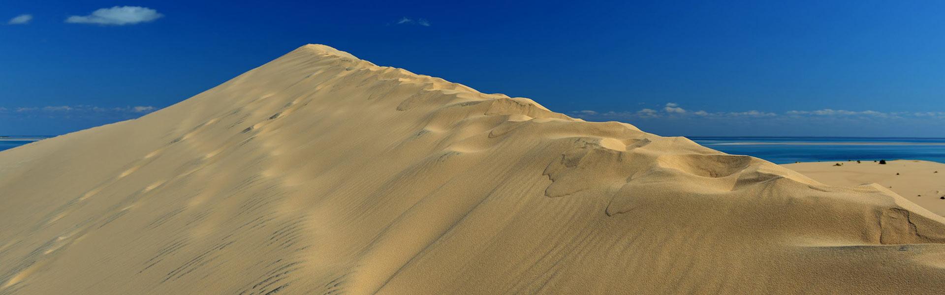 Africa Collection Holiday