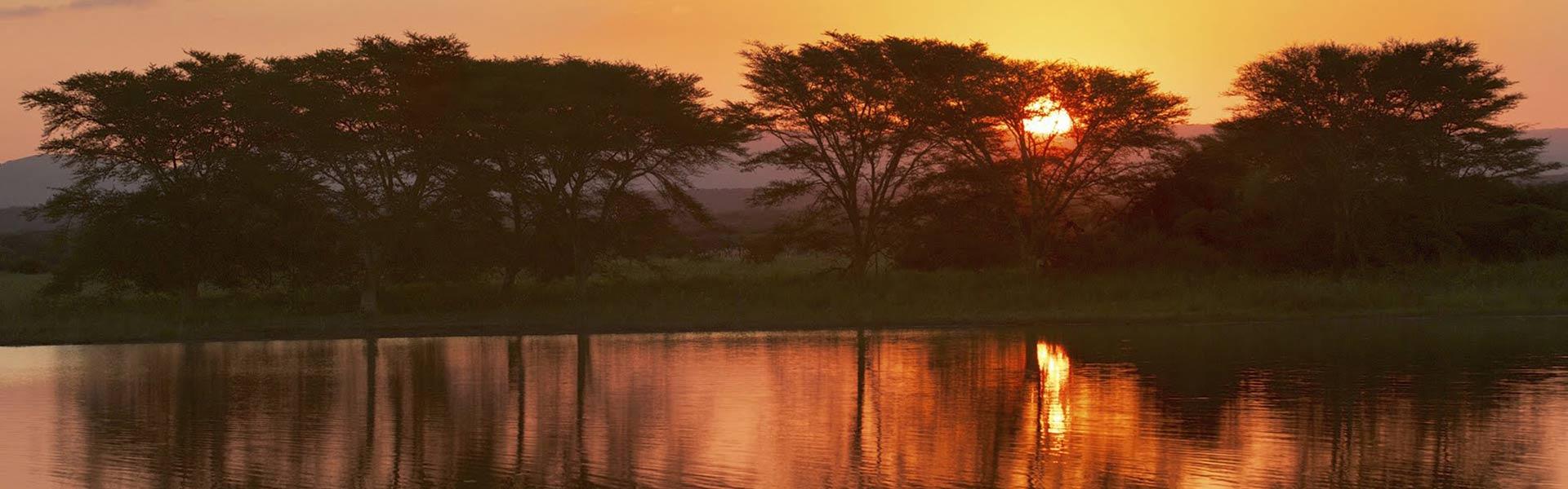Africa Collection Holiday