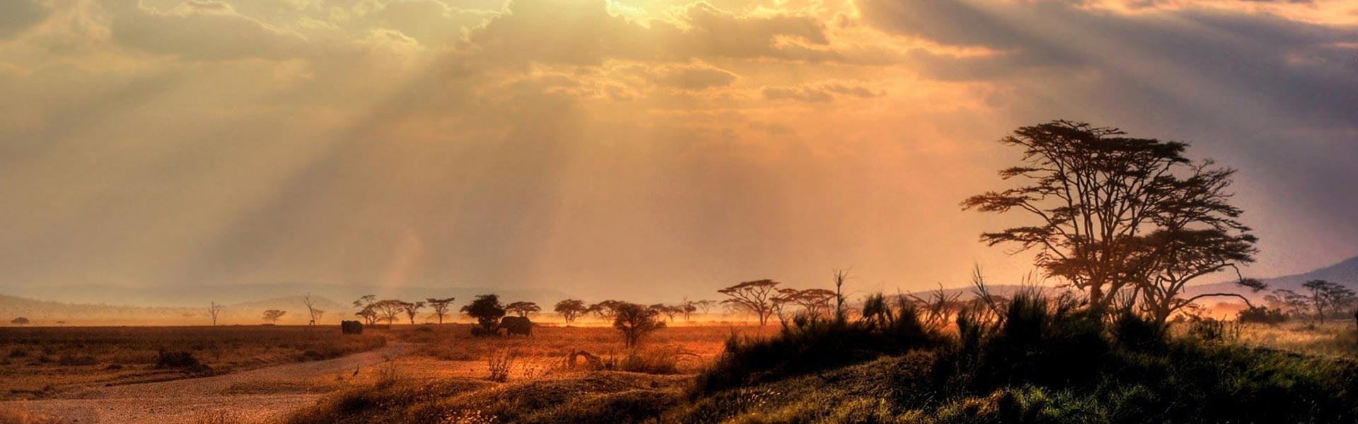 Africa Collection Holiday