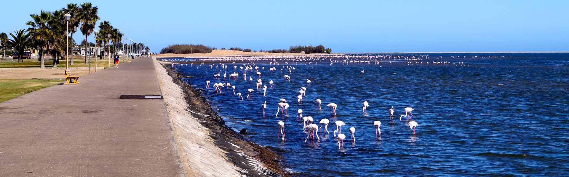 Africa Collection Holiday