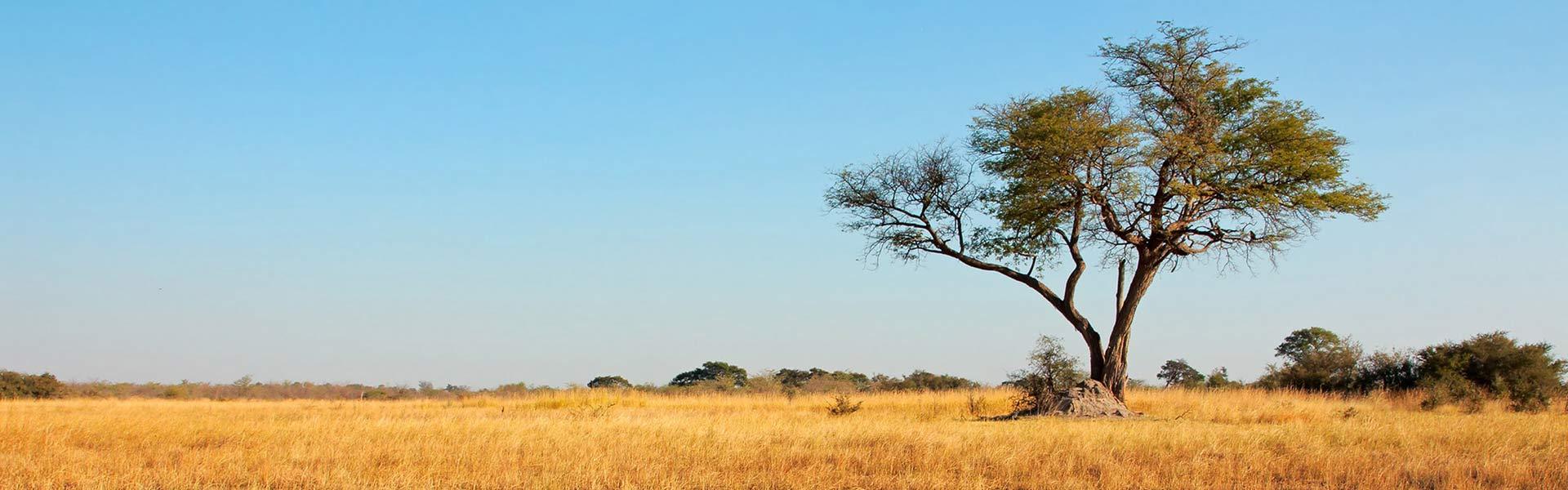 Africa Collection Holiday