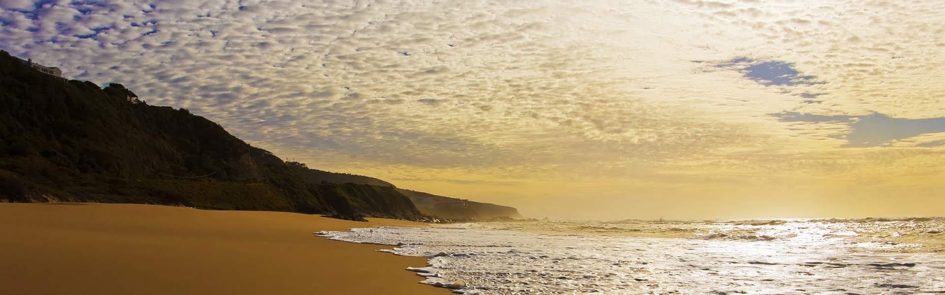 Africa Collection Holiday