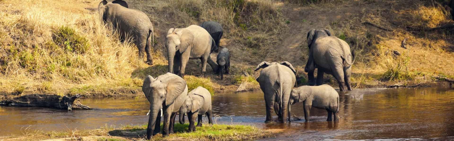 Africa Collection Holiday