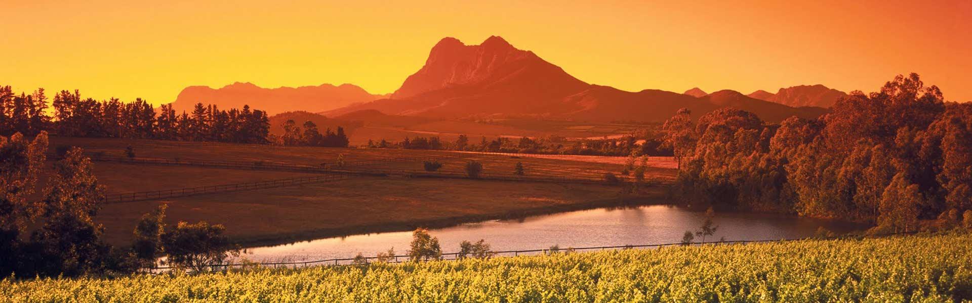 Africa Collection Holiday