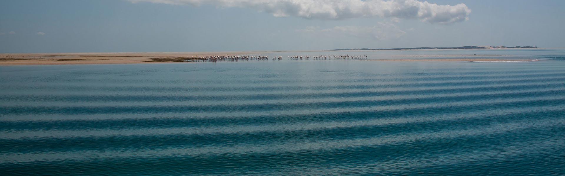 Africa Collection Holiday