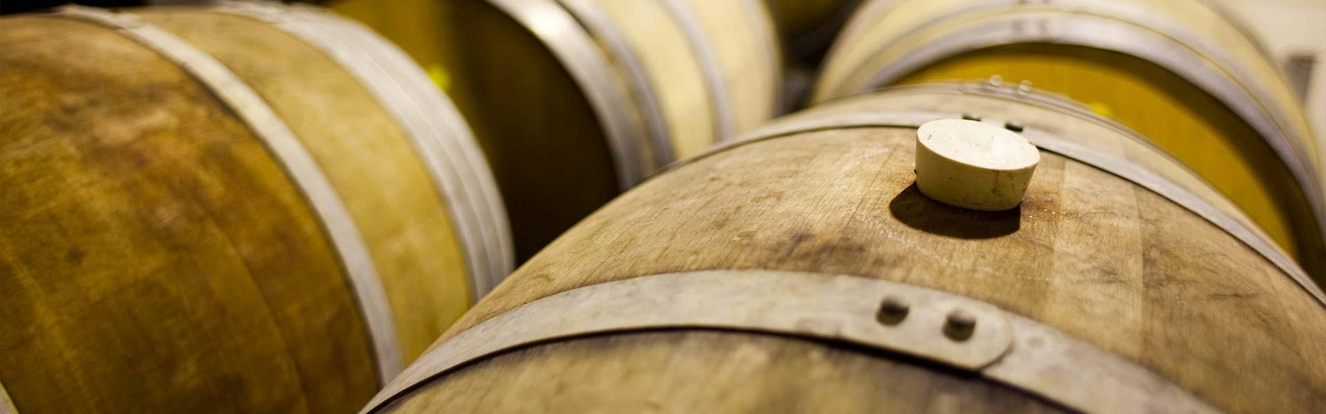 Africa Collection Holiday