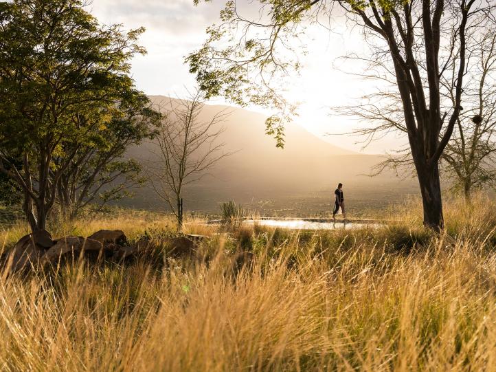 CEDERBERG, COAST & KRUGER WILDLIFE