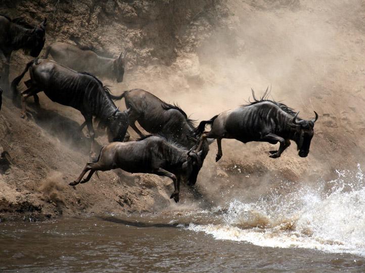 CLASSIC KENYA SAFARI