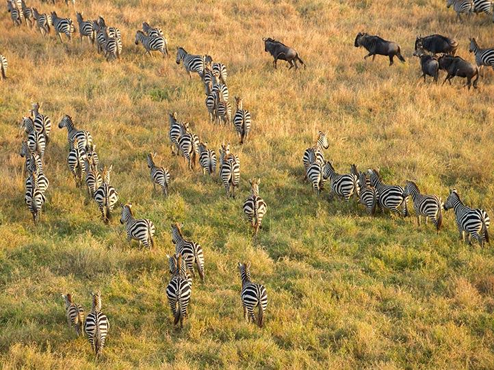 CLASSIC TANZANIA PRIVATE GUIDED SAFARI HOLIDAY
