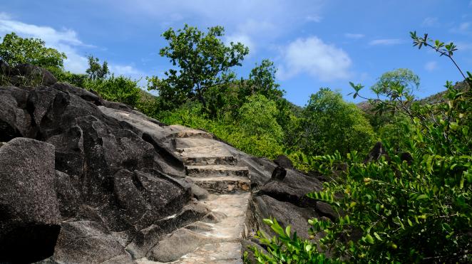 seychelles yacht stone stair case in forest.JPG