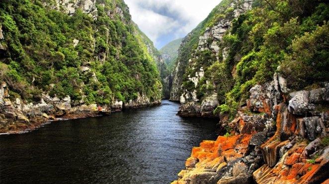 tsitsikamma national park_1