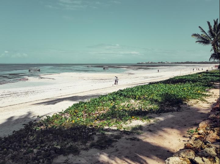 KENYA RIFT VALLEY & BEACH