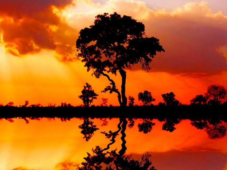kruger park safari and mozambique beach holiday itinerary preview square