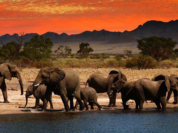 KRUGER SAFARI, KINGDOMS AND COAST