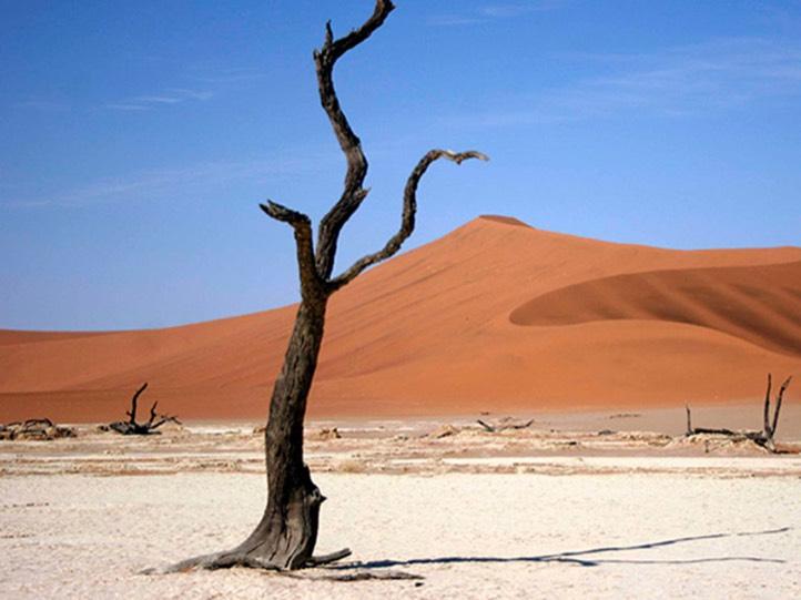 namibian desert unspoiled african landscapes square