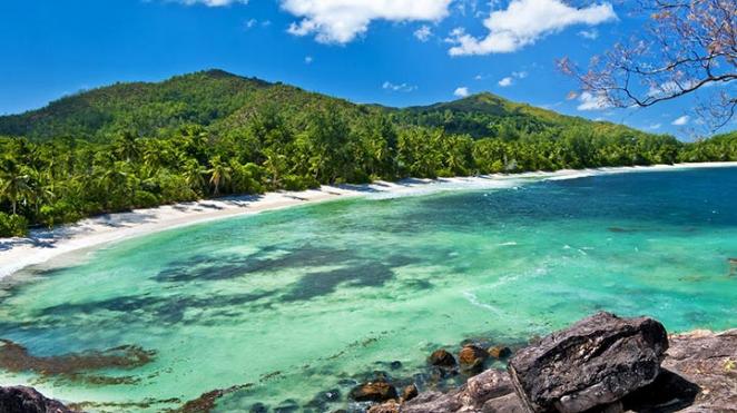 SOUTH AFRICA SAFARI & SEYCHELLES