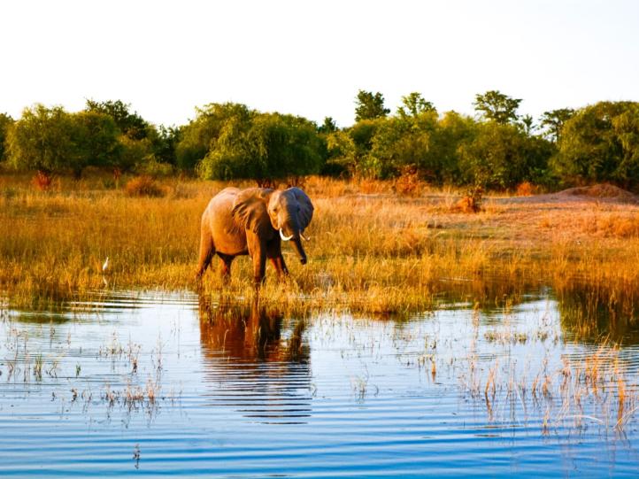 ZIMBABWE HIGHLIGHTS