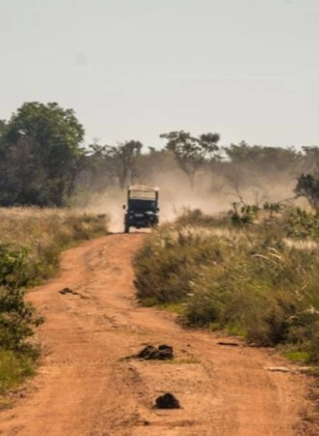 KRUGER SAFARI GUIDE EXPERIENCE EXPLORER TOUR