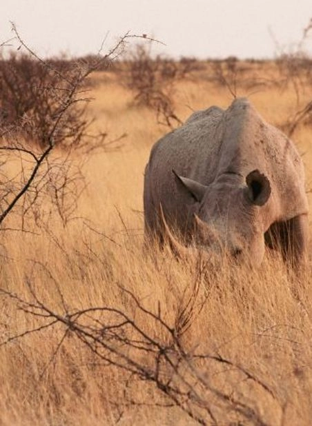 NAMIBIA HIGHLIGHTS GUIDED TOUR