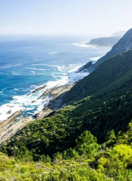 SOUTH AFRICA CAPE COLLECTION TOUR