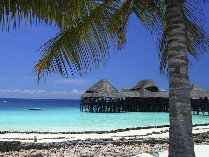 zanzibar palm lined beaches with calm clear seas