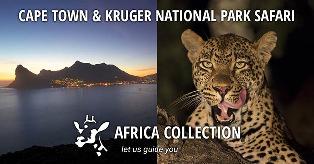 Cape Town and Kruger National Park Safari Travel Itinerary Package