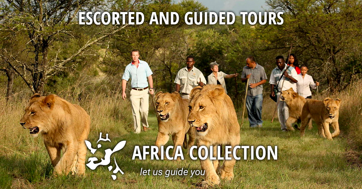 escorted tours africa