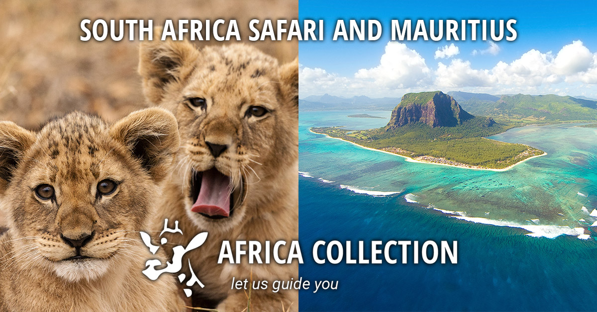 trip to south africa and mauritius