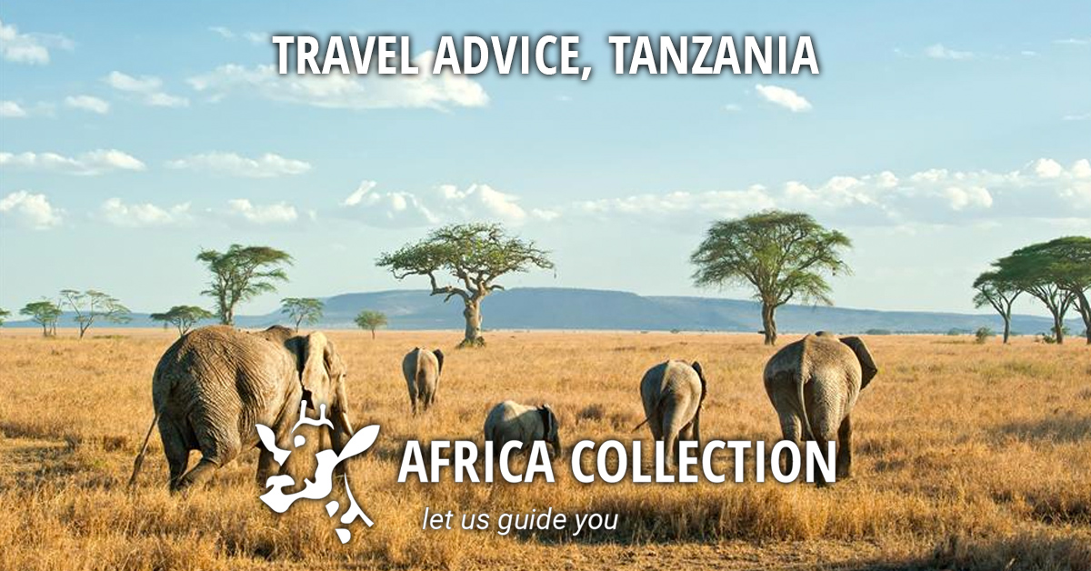 gov travel advice tanzania